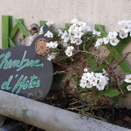 La Maison Des Fleurs Scrignac Luaran gambar