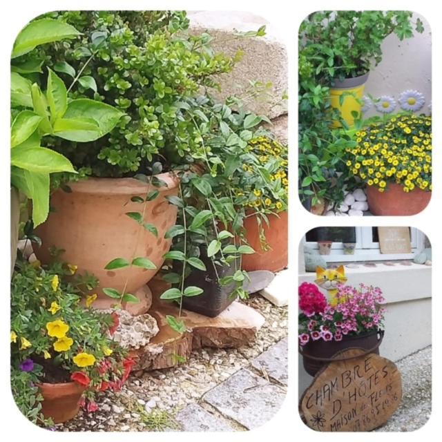 La Maison Des Fleurs Scrignac Luaran gambar